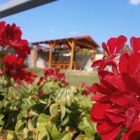 Vendégház Fortuna 3*