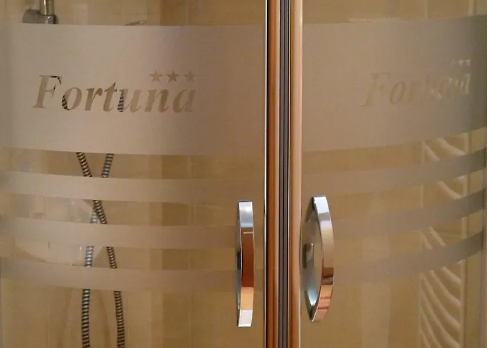 Fortuna Pensión 3*